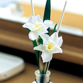 [It`s my flower] Birth Flower daffodil diffuser set of January, Air Freshener _ Made in KOREA